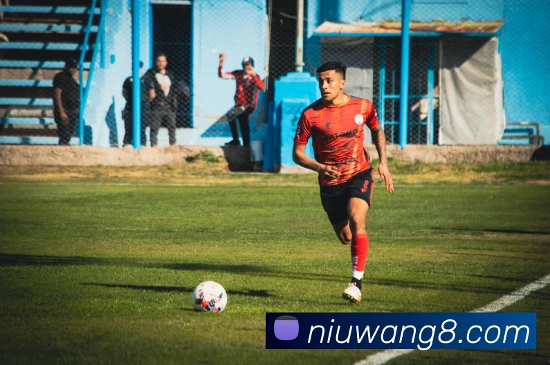 牛王俱乐部官网服务体系